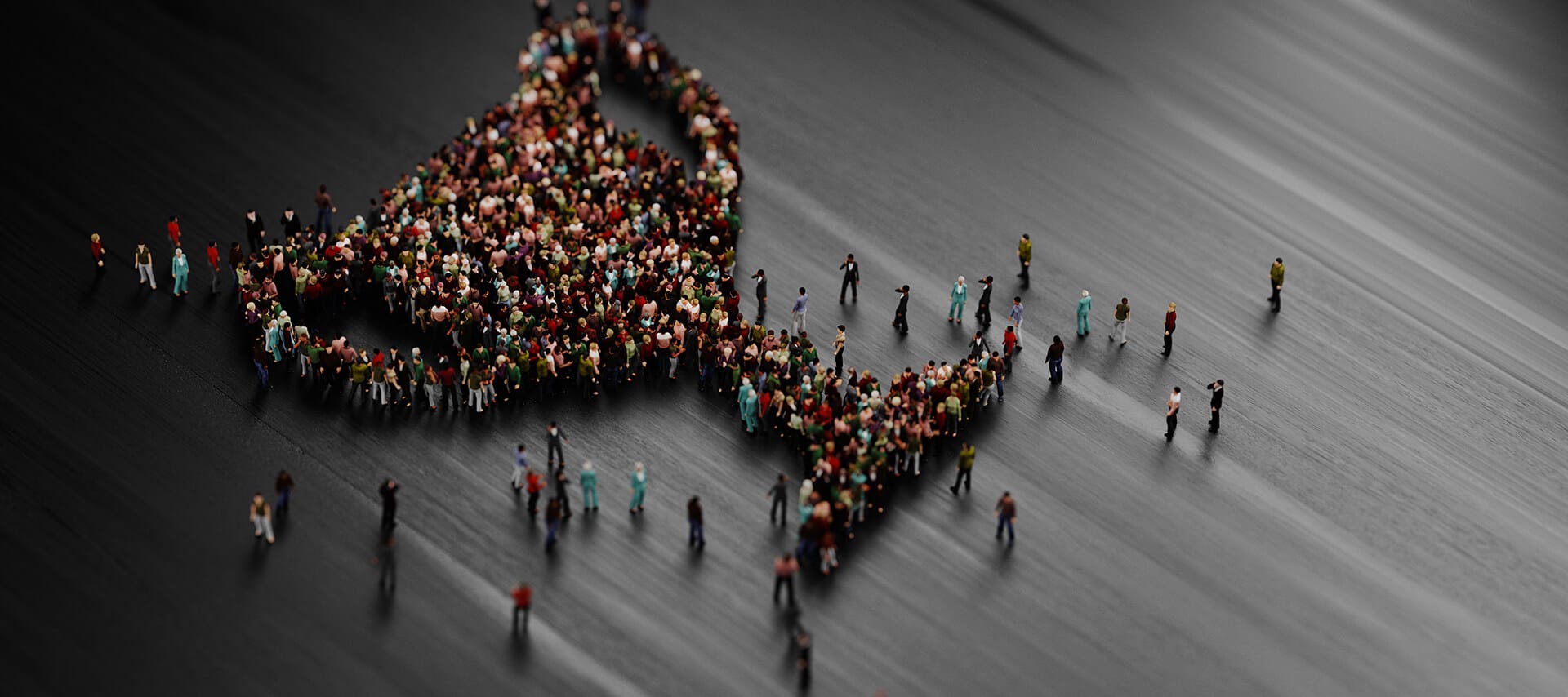 Freeman b Company Awards