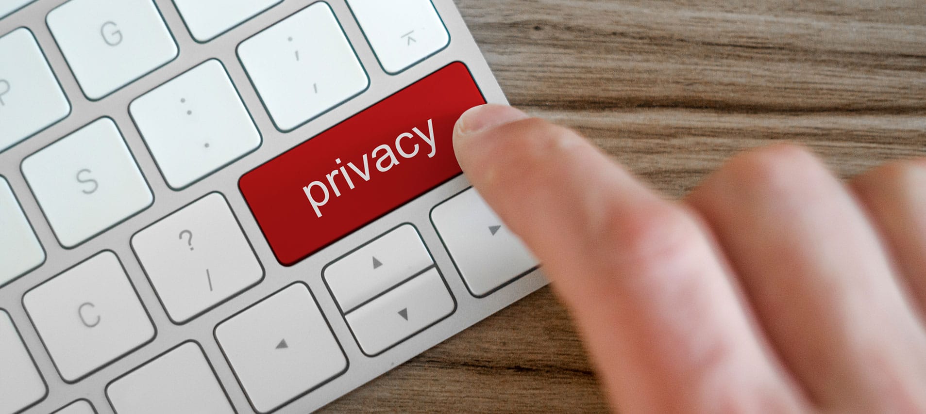 Freeman Webb Company Privacy Policy header image