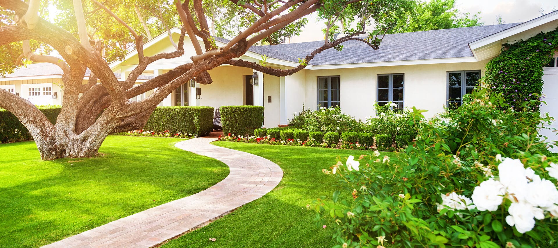 Freeman b Company Realtors