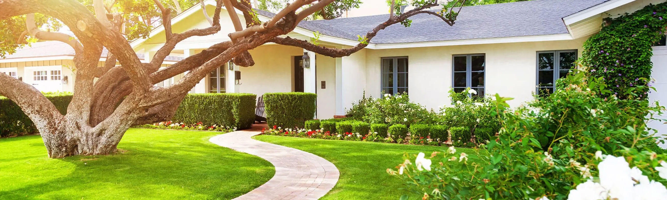 Front yard of a single family home